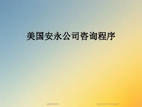 美国安永公司咨询程序