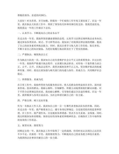 执法大队工作人员个人工作总结