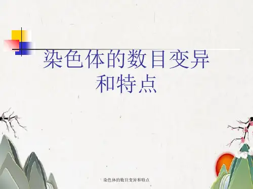 染色体数目变异与特点
