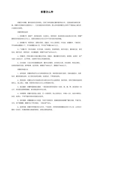 紫薯怎么种——精选推荐