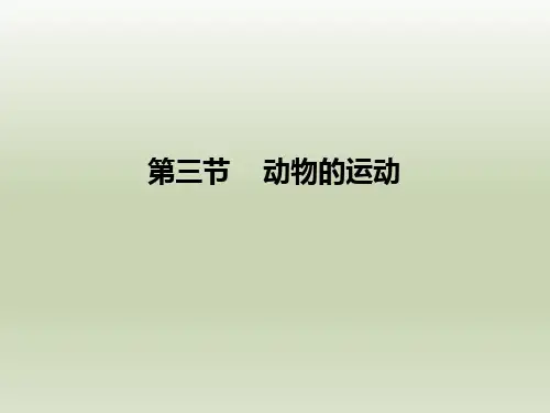 七年级生物上册第三节《动物的运动》参考课件