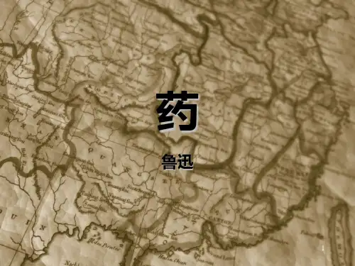 鲁迅《药》精美PPT课件