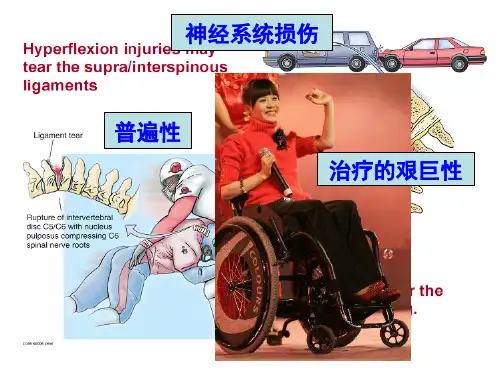 11 脑损伤修复与再生
