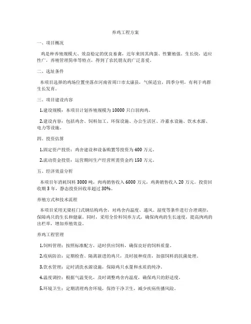 养鸡工程方案