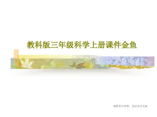 教科版三年级科学上册课件金鱼26页PPT