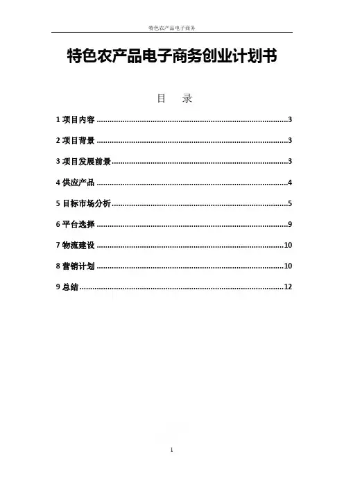 特色农产品电子商务创业计划书