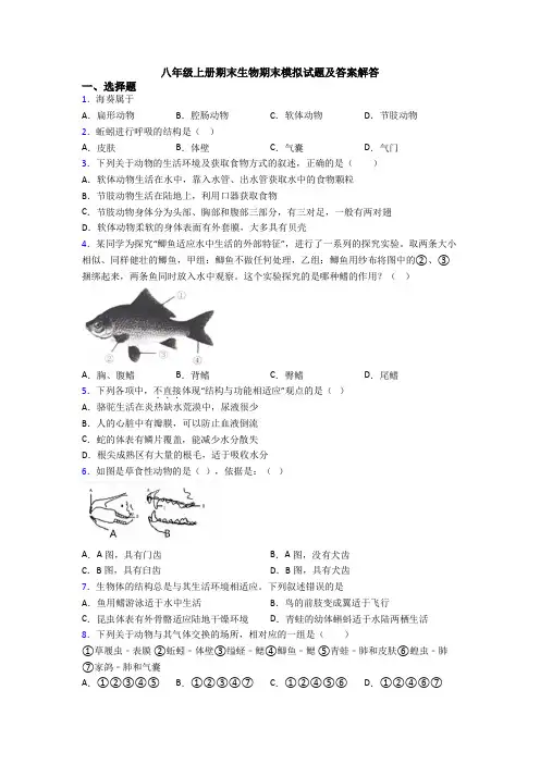 八年级上册期末生物期末模拟试题及答案解答