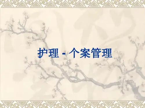 护理---个案管理ppt课件