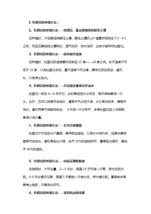 杜鹃花的养殖方法和浇水