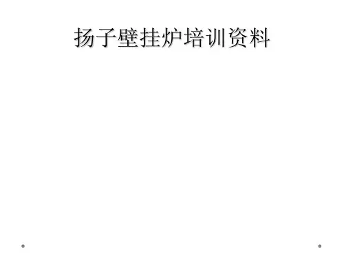 扬子壁挂炉培训资料