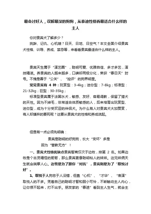 最会讨好人，误解最深的狗狗，从泰迪性格看最适合什么样的主人