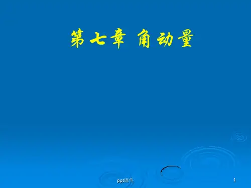 第7章 角动量  ppt课件