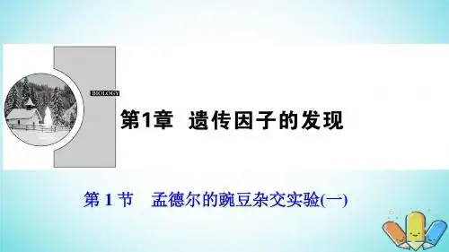 高中生物第一章遗传因子的发现第1节孟德尔的豌豆杂交