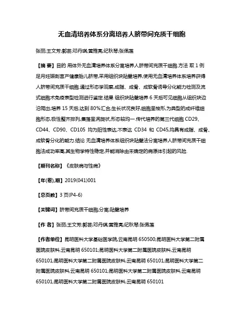 无血清培养体系分离培养人脐带间充质干细胞