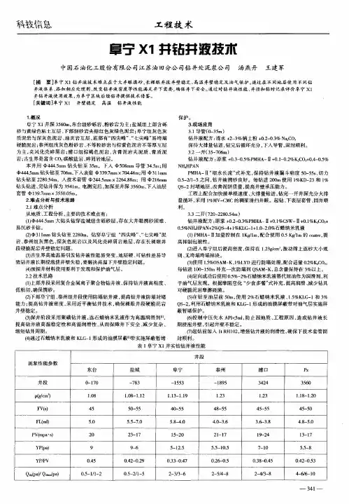 阜宁X1井钻井液技术