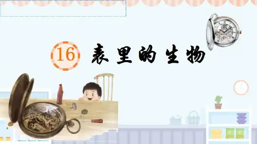 表里的生物-ppt课件