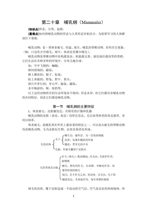 第二十章  哺乳纲