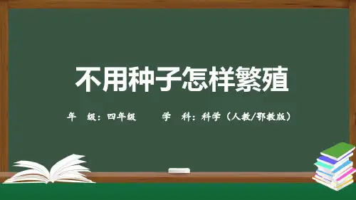 (人教鄂教版)四年级科学上册 不用种子怎样繁殖-2课件 (1)