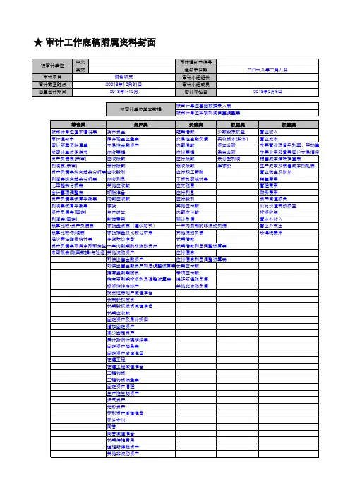 某上市公司内部审计底稿套表(有公式、链接)