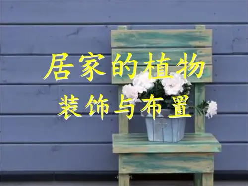居家的植物装饰与布置