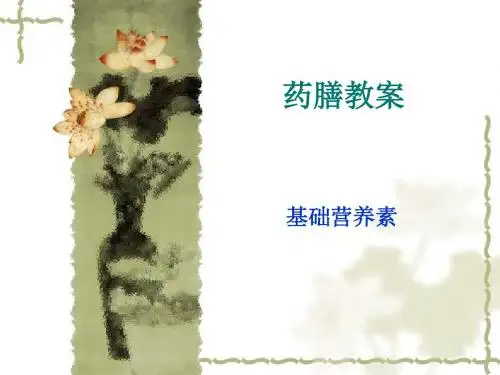 基础营养素
