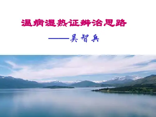 温病热证辨治思路