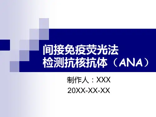 间接免疫荧光法测ANA课件