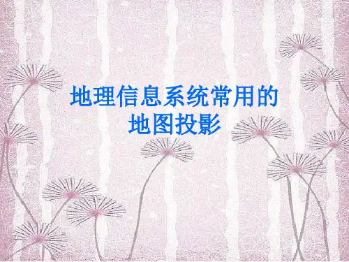 地理信息系统常用的地图投影