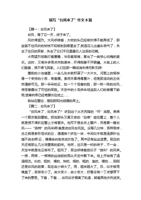 描写“台风来了”作文6篇