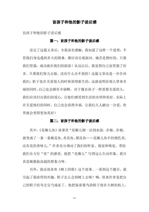 盲孩子和他的影子读后感