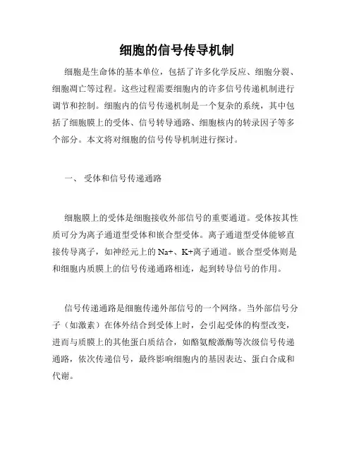 细胞的信号传导机制