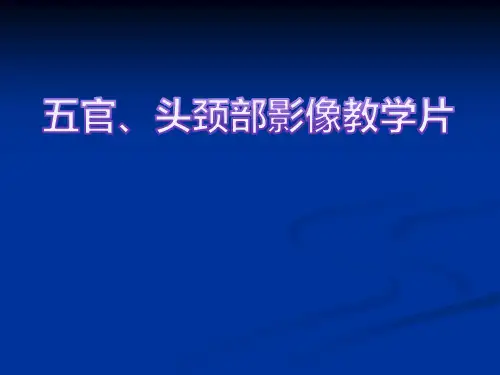 头颈部影像教学片 (NXPowerLite)