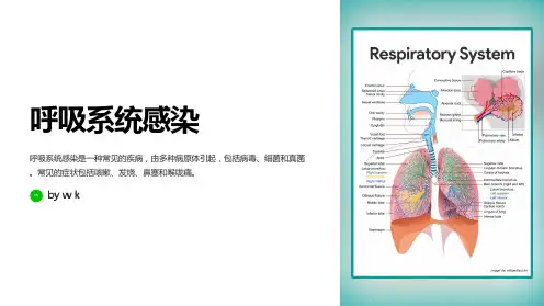 呼吸系统感染的病因和治疗原则