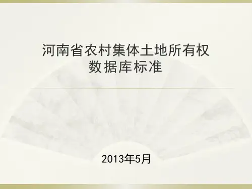 河南省农村集体土地所有权数据库标准