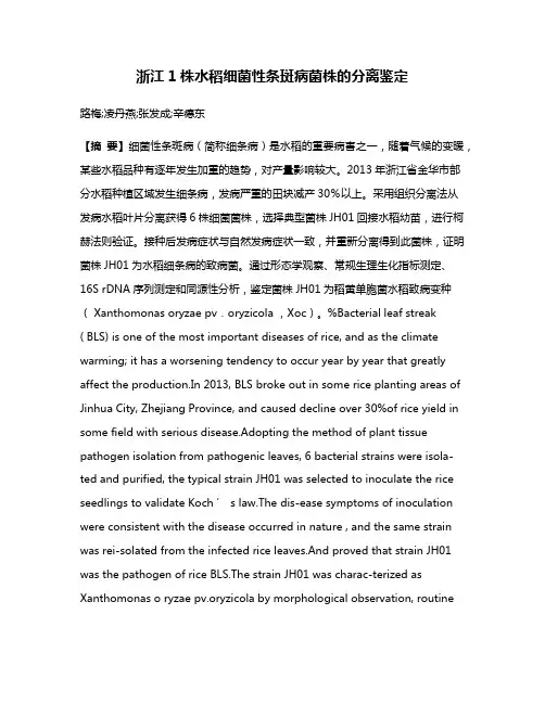 浙江1株水稻细菌性条斑病菌株的分离鉴定