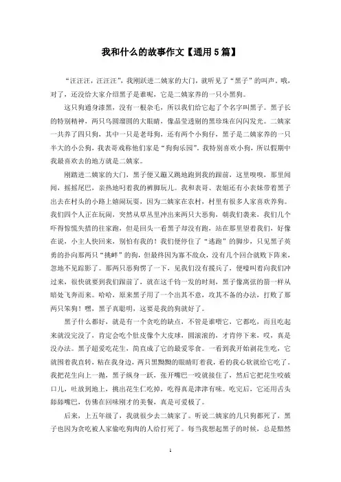 精选我和什么的故事作文【通用5篇】