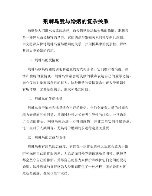 荆棘鸟爱与婚姻的复杂关系