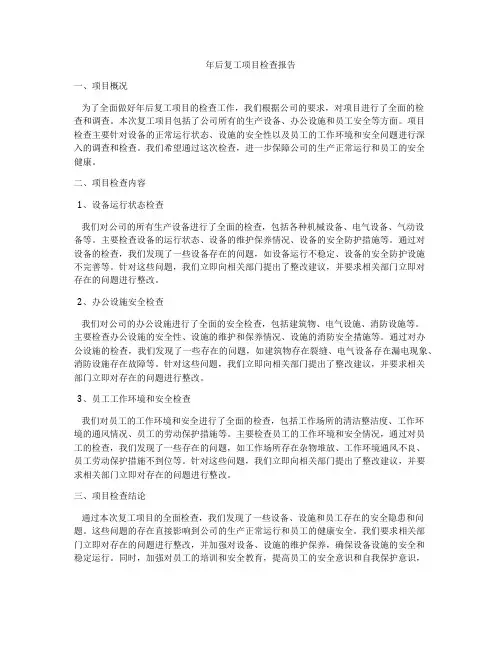 年后复工项目检查报告