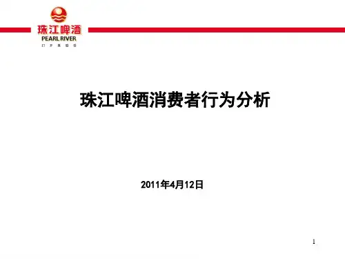 珠江啤酒消费者行为分析