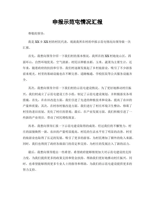 申报示范屯情况汇报