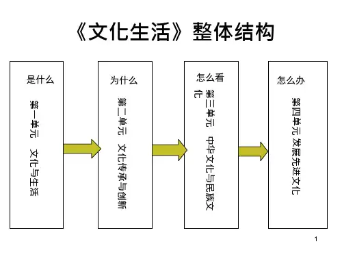 文化生活整体结构图课件