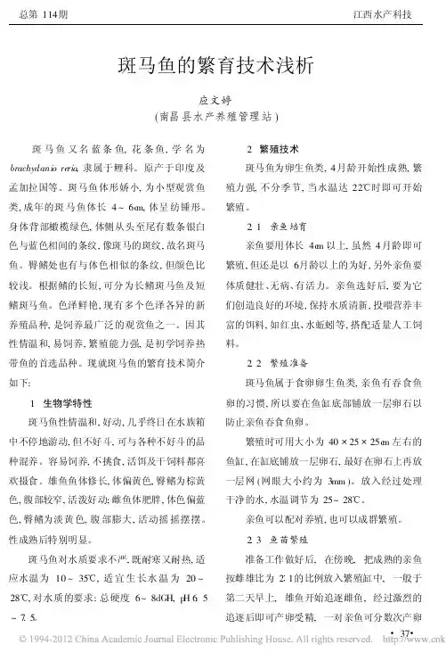 斑马鱼的繁育技术浅析
