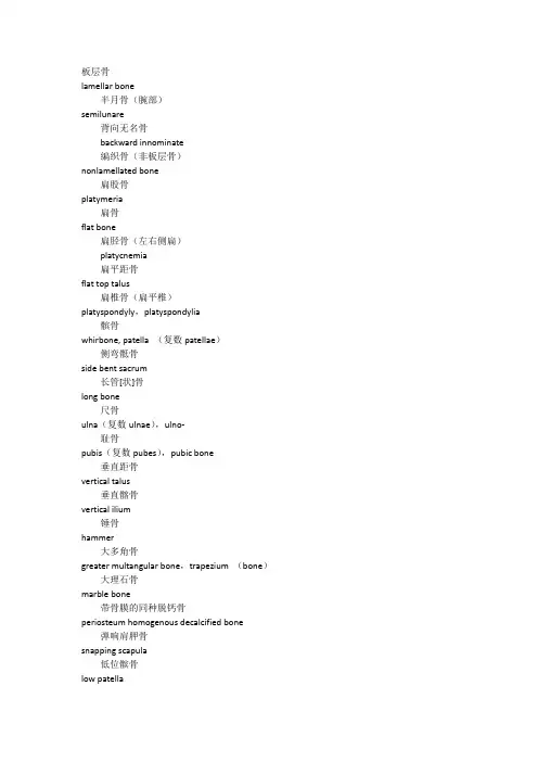 骨科词汇