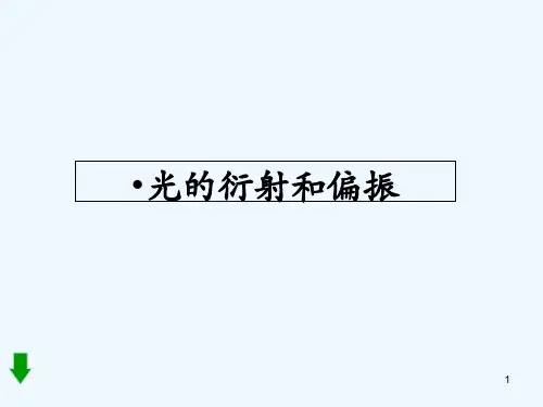 光的衍射和偏振-PPT