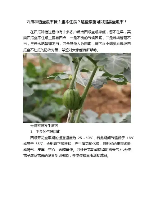 西瓜种植坐瓜率低？坐不住瓜？这些措施可以提高坐瓜率！