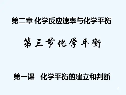 化学平衡的建立判断-PPT