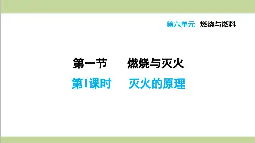 鲁教版初三上册化学 6.1.1 灭火的原理 重点习题练习复习课件