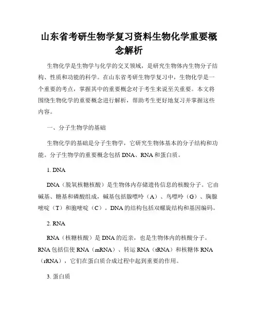 山东省考研生物学复习资料生物化学重要概念解析
