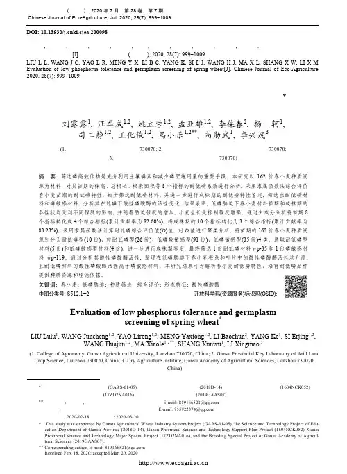 不同春小麦品种耐低磷性评价及种质筛选
