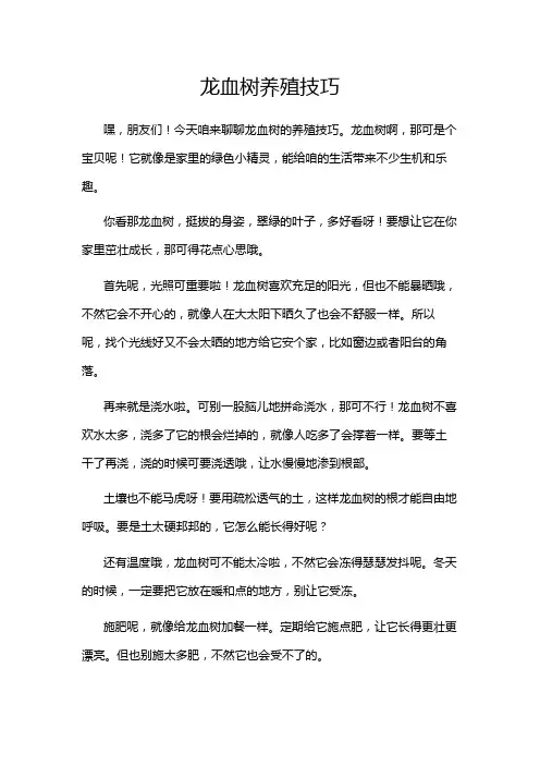 龙血树养殖技巧